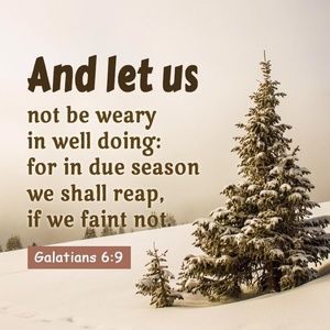 Meet your Posher, Shernett